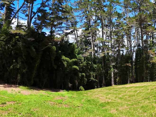 34 Cottle Hill Drive, Kerikeri