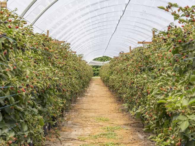  Thurley Place, Bay View