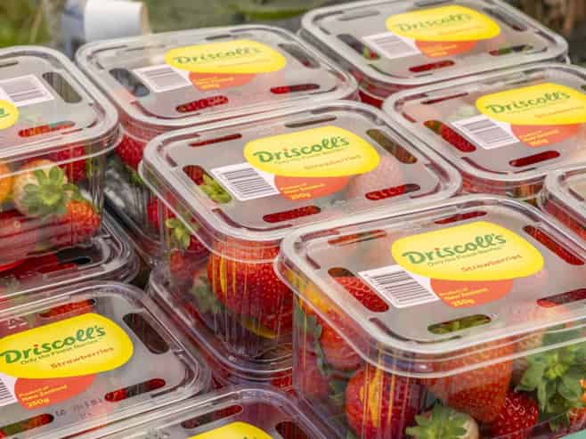  Thurley Place, Bay View