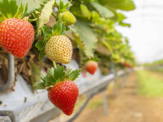  Thurley Place, Bay View