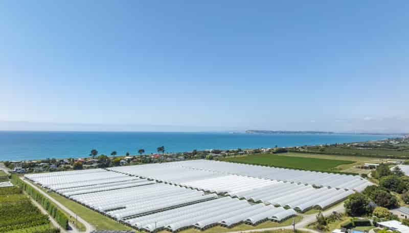  Thurley Place, Bay View