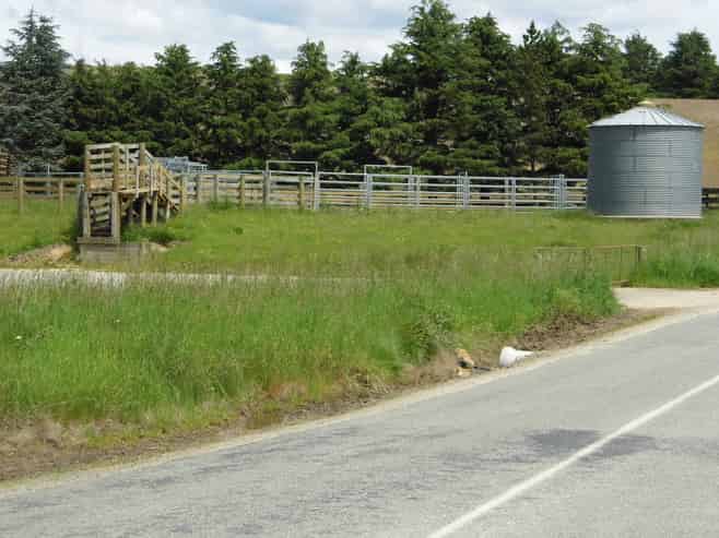 22 Tokarahi-Duntroon Road, Tokarahi