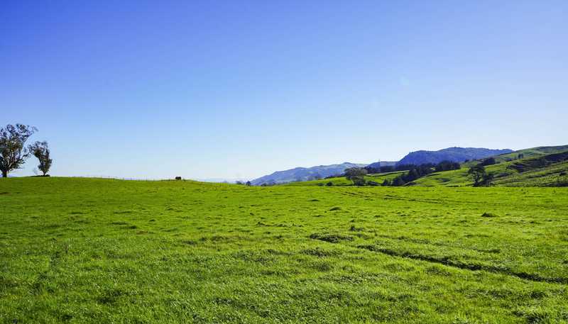 Lot 2, 3, 4,, 151 Hill Road, Te Aroha