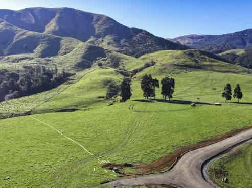 Lot 2, 3, 4,, 151 Hill Road, Te Aroha