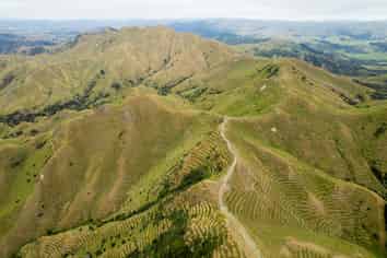  Ngakonui Forest, Martinborough