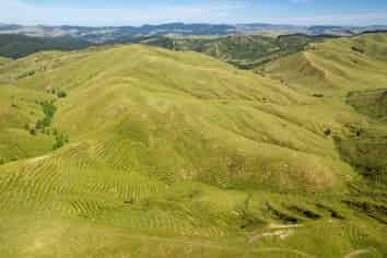  Waipipi Forest, Masterton