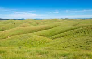  Waipipi Forest, Masterton