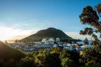 Exceptional Opportunity