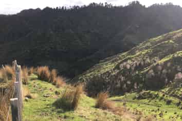 540 Lakes Road, Mangawhio, Waitotara