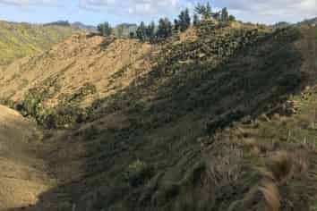 540 Lakes Road, Mangawhio, Waitotara