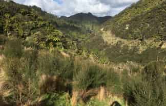 540 Lakes Road, Mangawhio, Waitotara