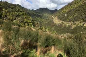 540 Lakes Road, Mangawhio, Waitotara