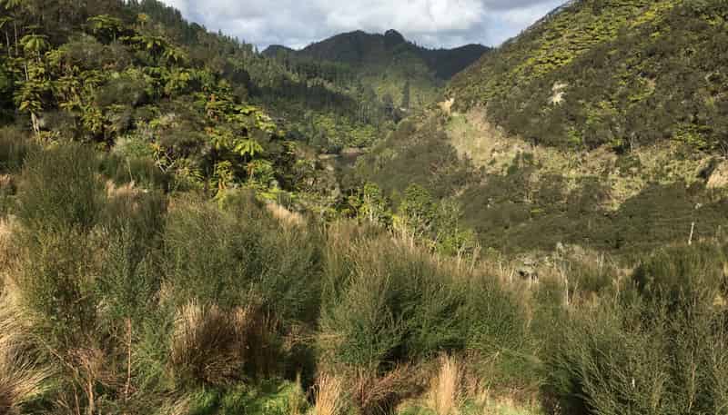 540 Lakes Road, Mangawhio, Waitotara