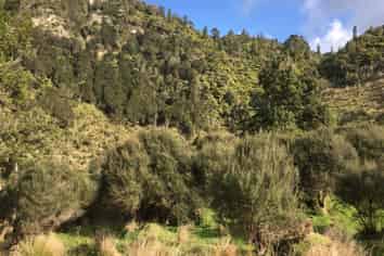 540 Lakes Road, Mangawhio, Waitotara