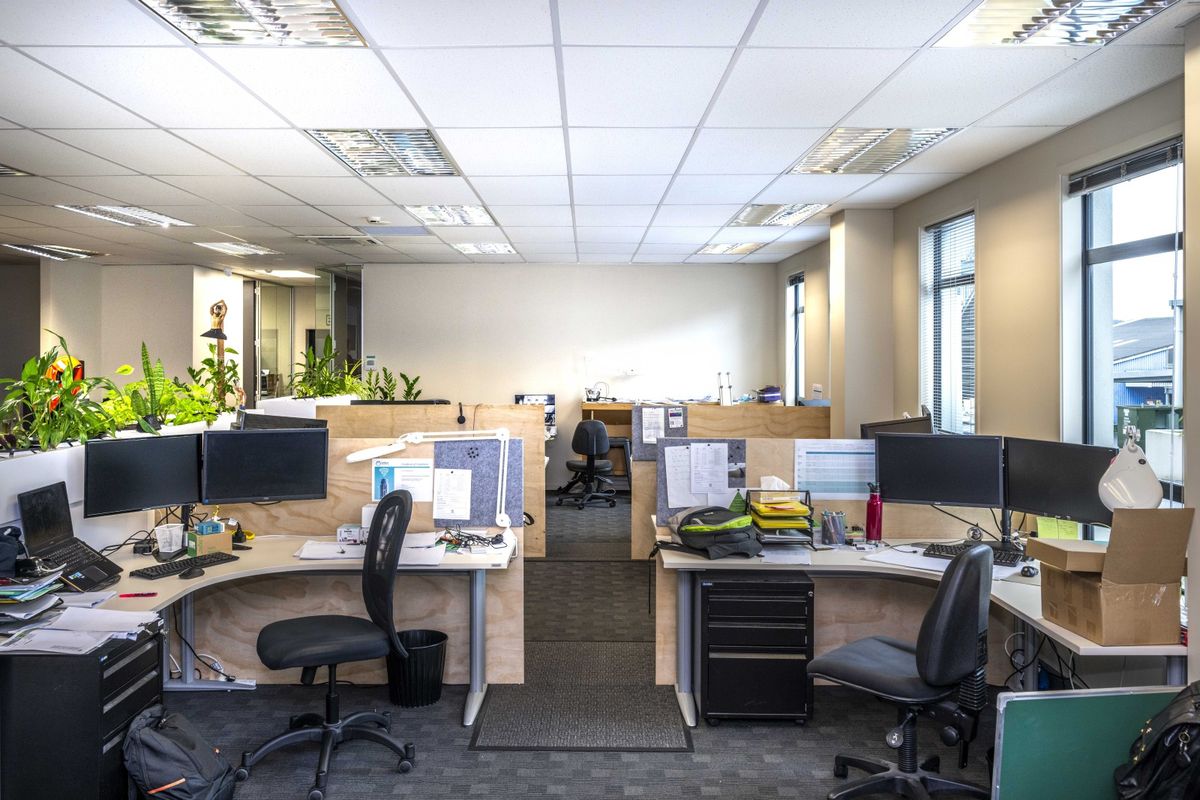 Functional office and warehouse in Rosebank – pohled 5