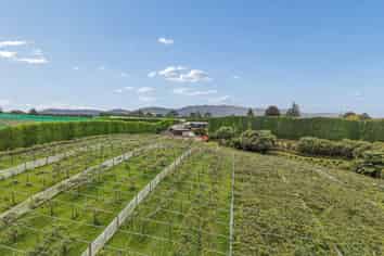 447 No2 Road, Te Puke