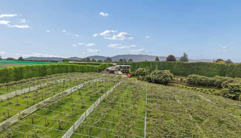 447 No2 Road, Te Puke
