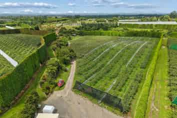 447 No2 Road, Te Puke