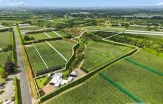 447 No2 Road, Te Puke