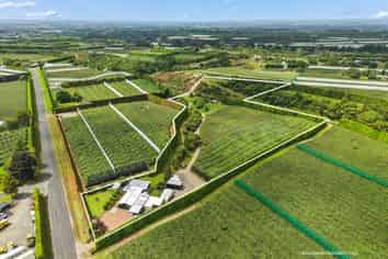 447 No2 Road, Te Puke