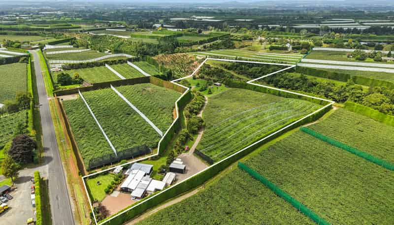 447 No2 Road, Te Puke