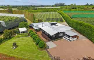 447 No2 Road, Te Puke