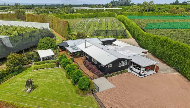 447 No2 Road, Te Puke