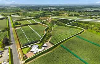 447 No2 Road, Te Puke