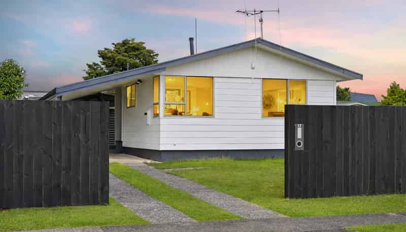 17 Enfield Street, Nawton