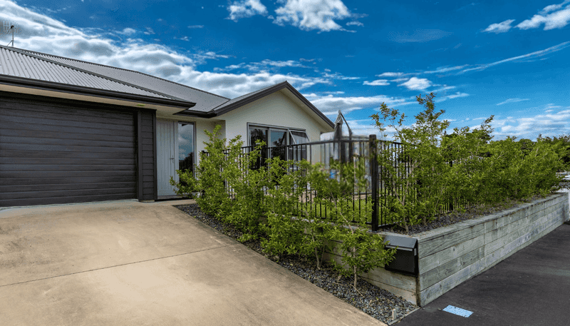 2/11 Miro Street, Maeroa