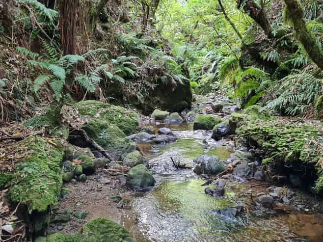 141 Kaitawa Road, Hautere