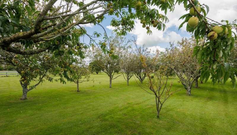 450 Alexandra Road, Manawaru, Matamata