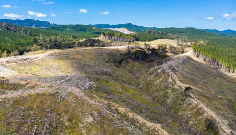 Lot 2 Kaiwhata Road, Te Wharau