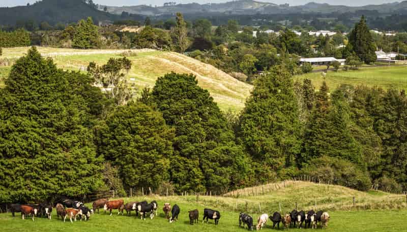 54 Thorn Road, Waihi