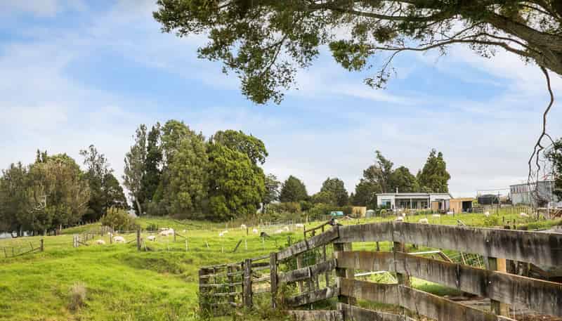 54 Thorn Road, Waihi
