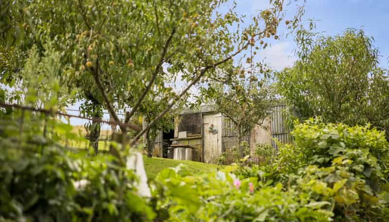 54 Thorn Road, Waihi