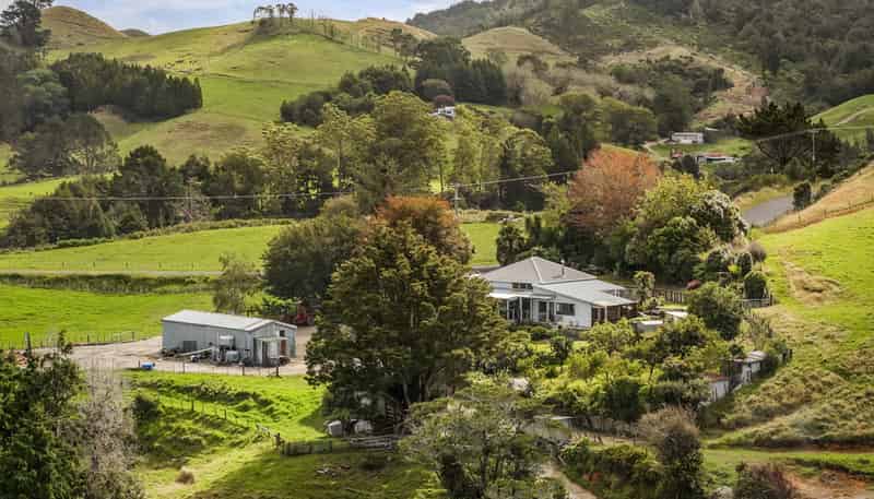 54 Thorn Road, Waihi