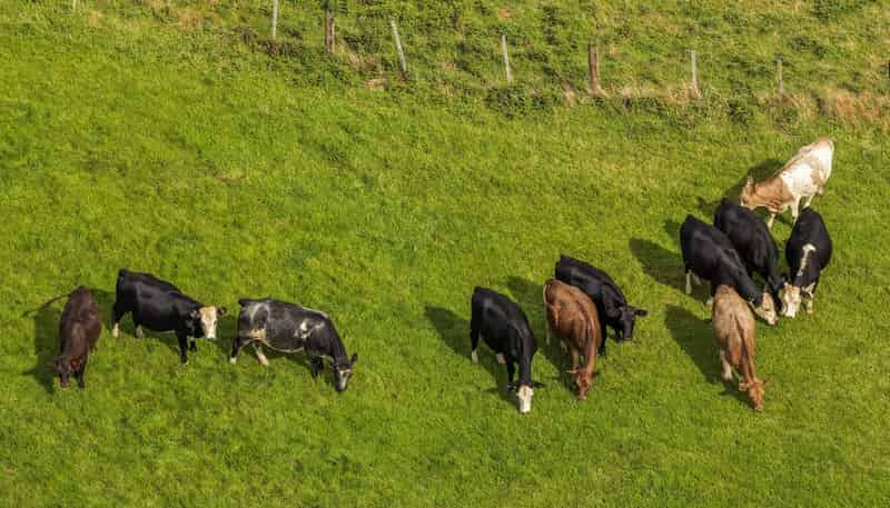 54 Thorn Road, Waihi