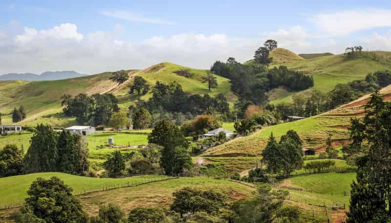 54 Thorn Road, Waihi