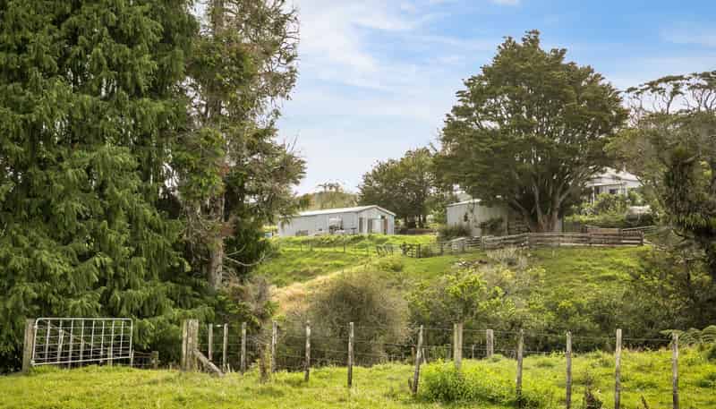 54 Thorn Road, Waihi