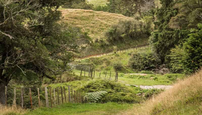 54 Thorn Road, Waihi