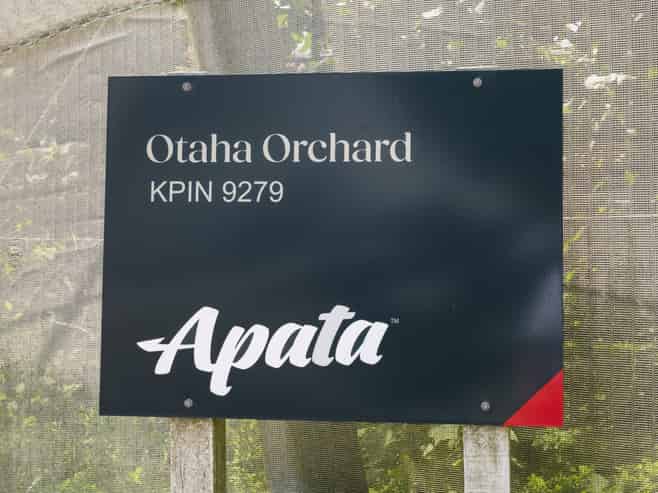 20 Ronalds Lane, Te Puke