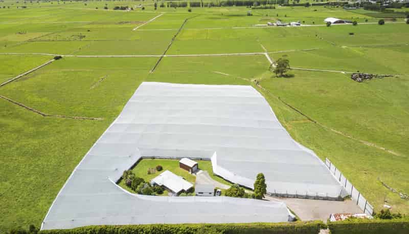 20 Ronalds Lane, Te Puke