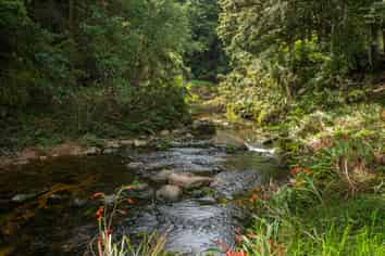 729 Puhipuhi Road, Whakapara