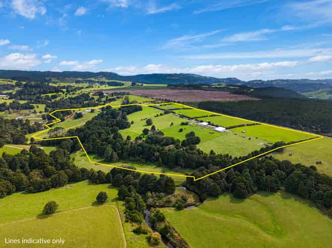 729 Puhipuhi Road, Whakapara