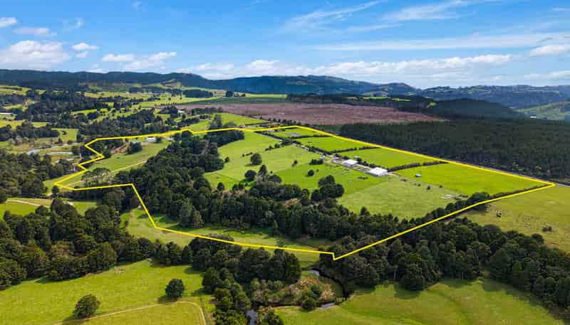 729 Puhipuhi Road, Whakapara