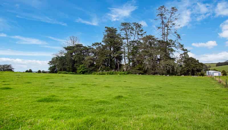 729 Puhipuhi Road, Whakapara