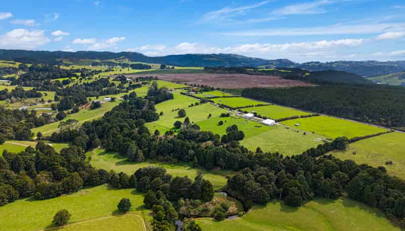 729 Puhipuhi Road, Whakapara