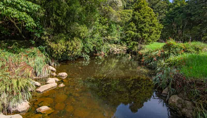 729 Puhipuhi Road, Whakapara
