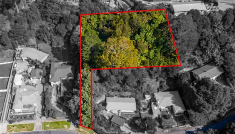 9 Logie Street, Stokes Valley